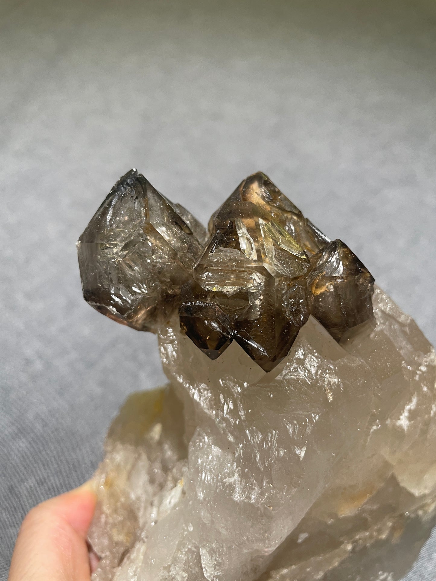鱷魚皮黑金剛水晶 (Lustrous Elestial Black Vajra Quartz Matrix)